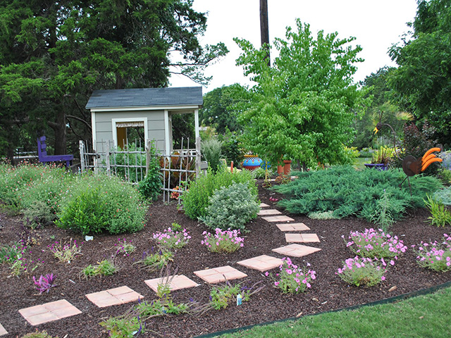 A garden with a variety of trees and shrubs. A garden with a variety of trees and shrubs.